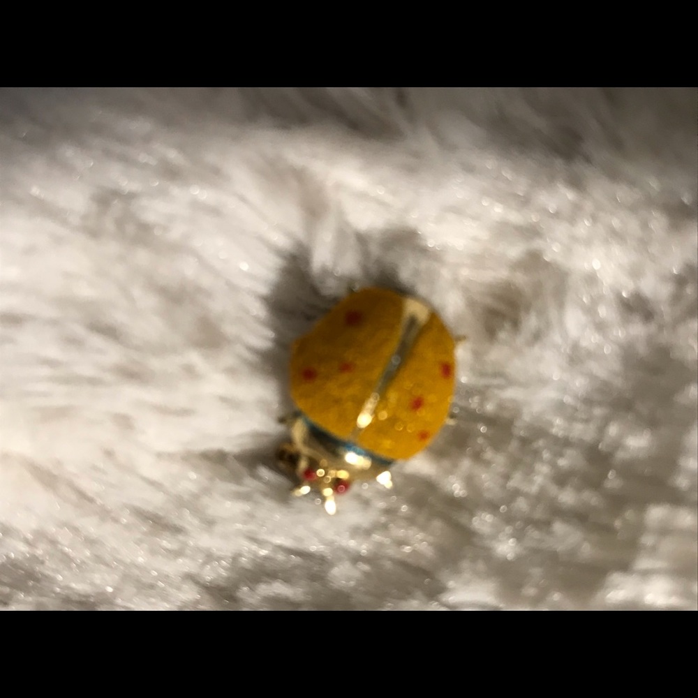 Small orange beetle bug pin